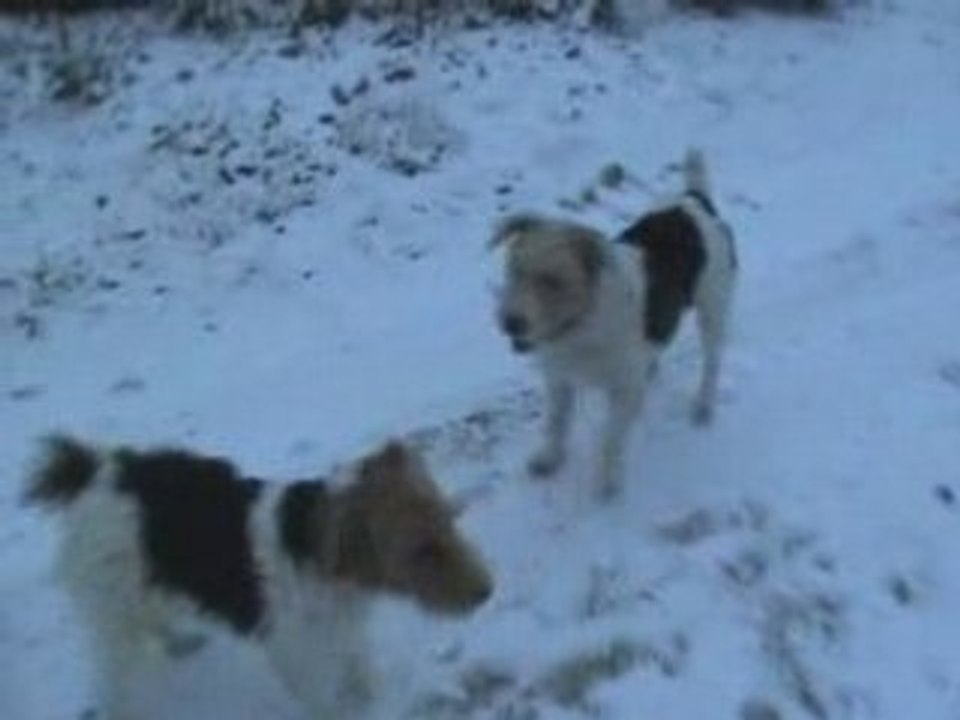 Montage vasco $ athos