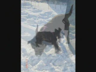 Le 6 janvier, il neige à Blois