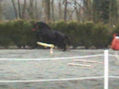 Mick saute en liberté