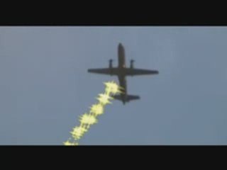 Rise of Little Commando