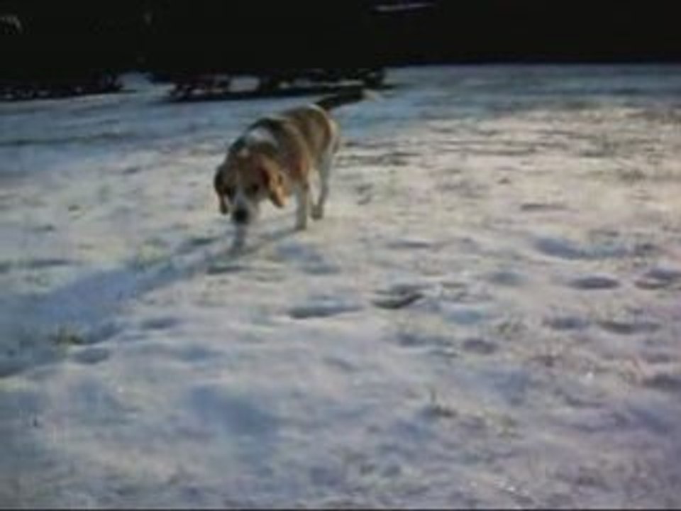 ballade dans la neige