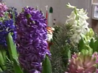 Visite des élus maternité et maison de retraite du Cateau