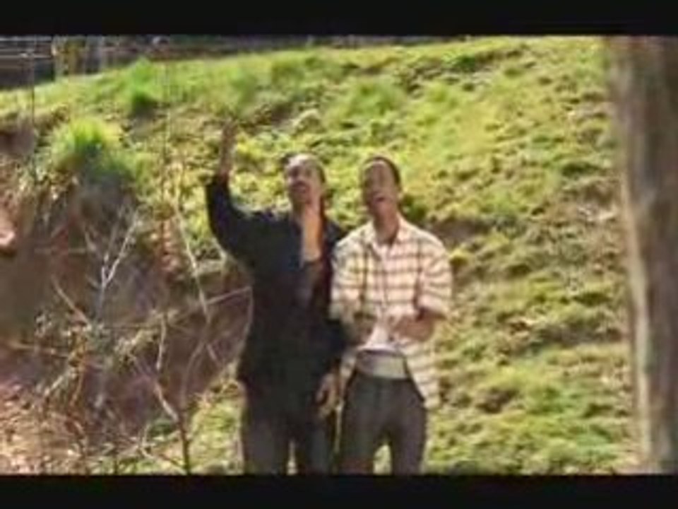 FLY T - Une recompence