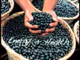 Acai Berry Complex - acai juice weight loss story video