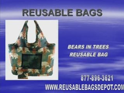 Why You Should Use A Reusable Shopping Bag?