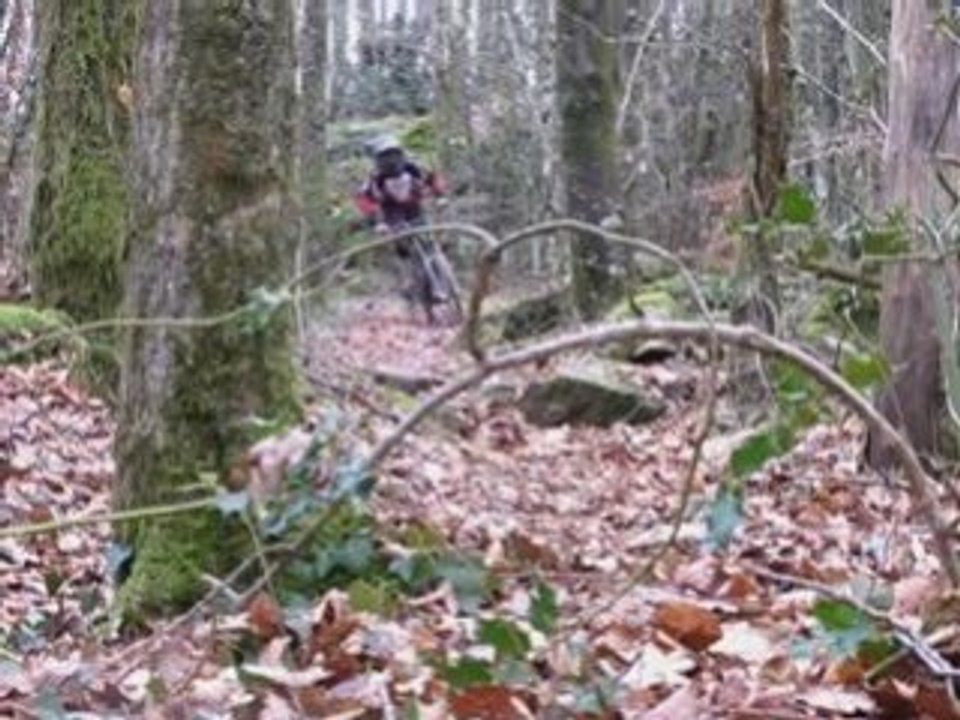 DH Hivers_0001