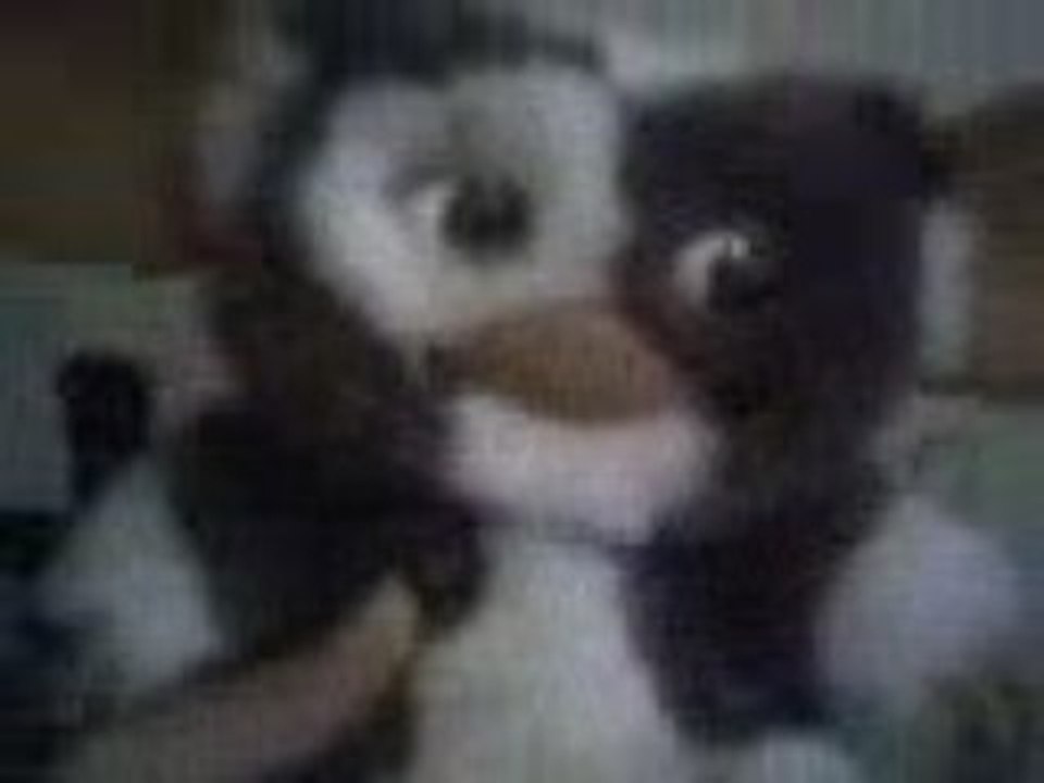 Gizmo