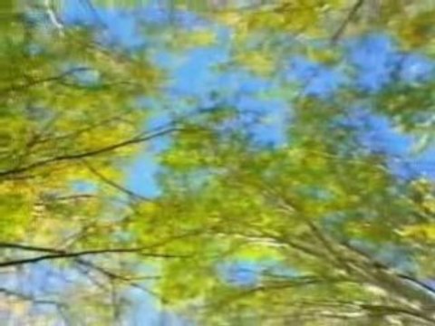 Видеоклип Осень сл. и муз. Юрий Черкашин