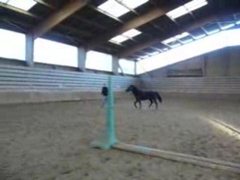 mon cheval et mon père