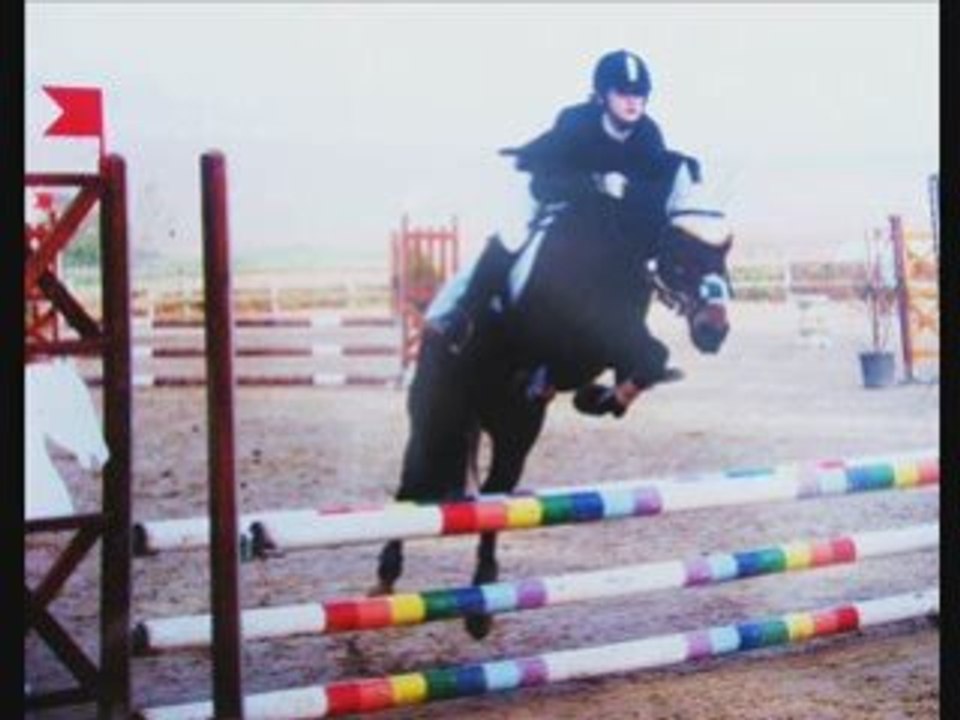 LesMeilleures(L)