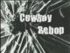 Cowboy bebop amv Mai Yamane