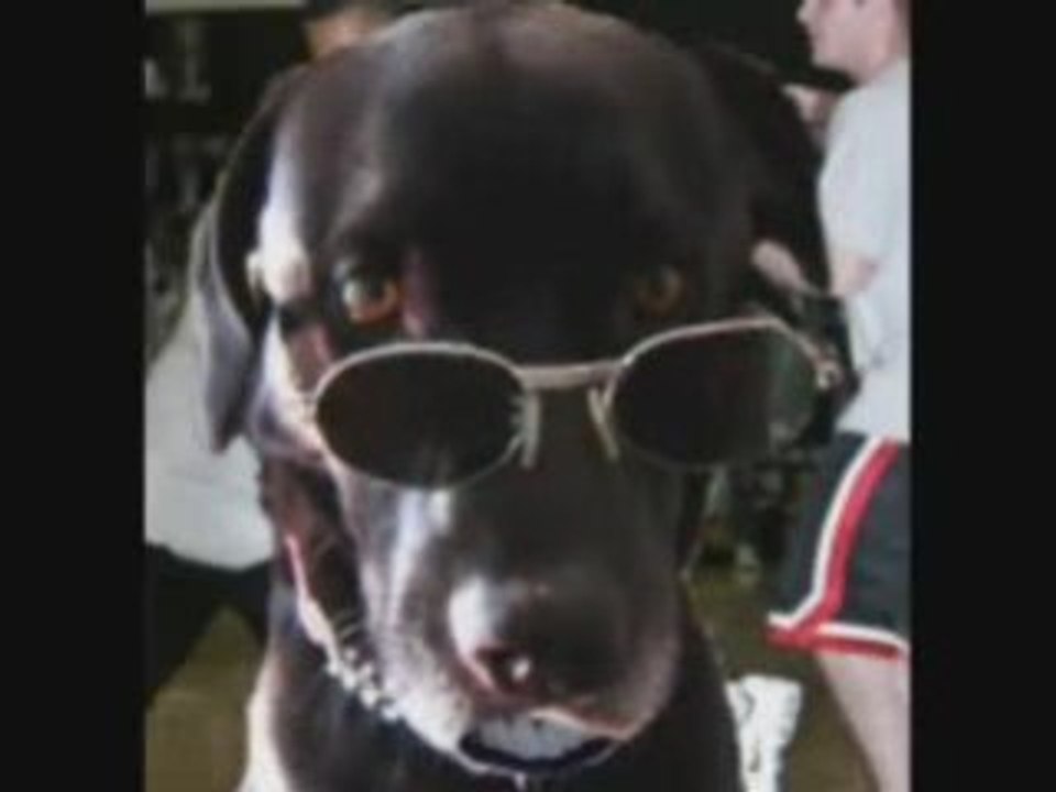 free book acai berry diet and weight loss tips