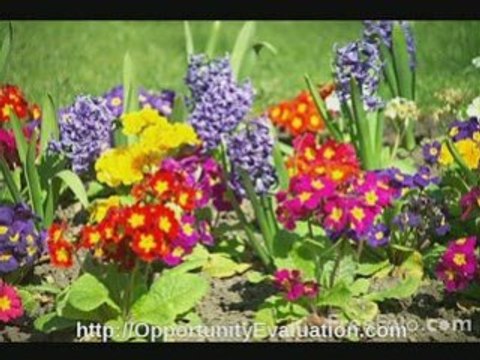 low-cost internet network marketing opportunities