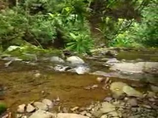 Amazing Seneca WV Waterfalls