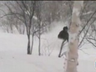 Snow Report Niseko 7th January