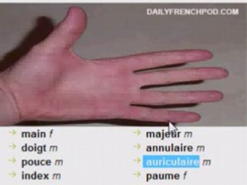 Learn French