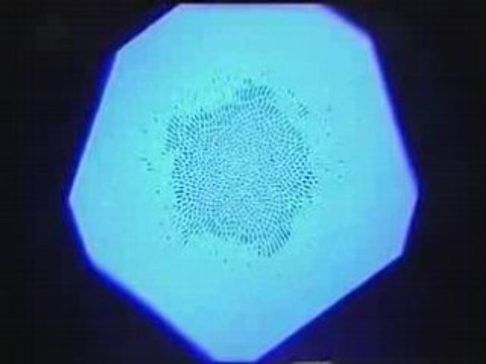 fractale 8