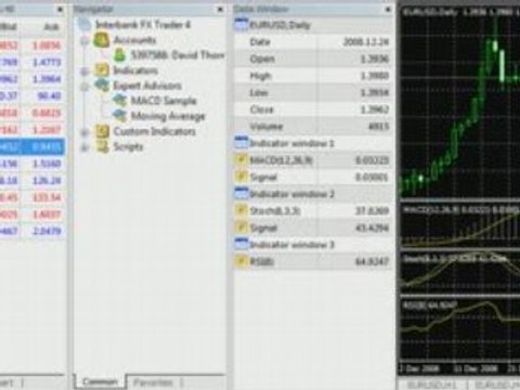 Video: Avoid Forex Scams