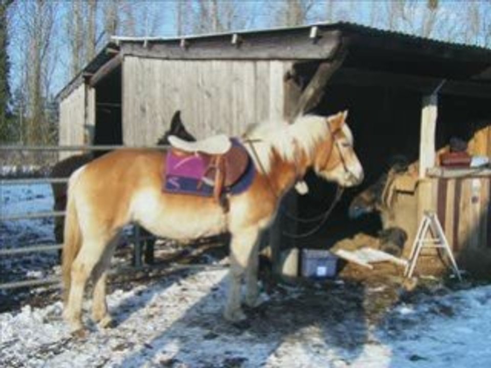 Montaage dernier jour