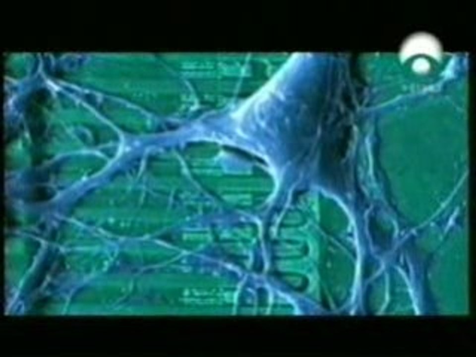 Peter Fromherz: Diseñando el Neurochip