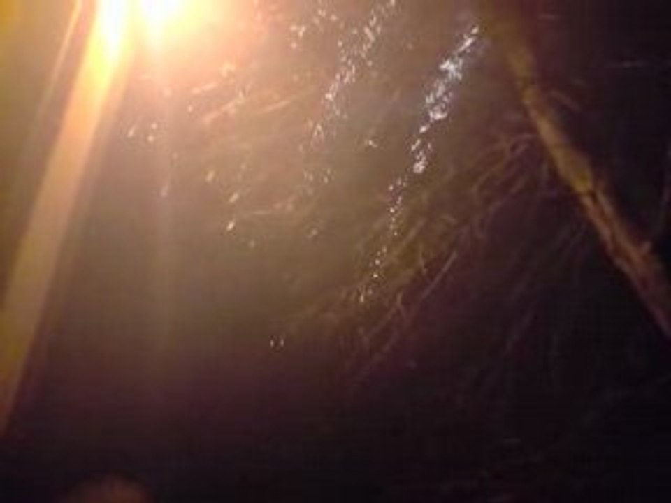 Van tastic 5X5 une video de freelancer