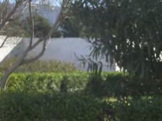 Vid. les andalouses déc.2008