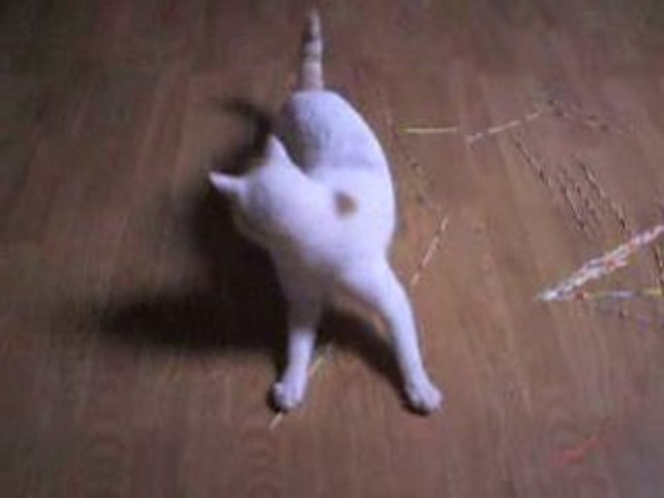 matou qui se tape un delire avec mon lazer