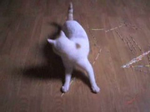 matou qui se tape un delire avec mon lazer