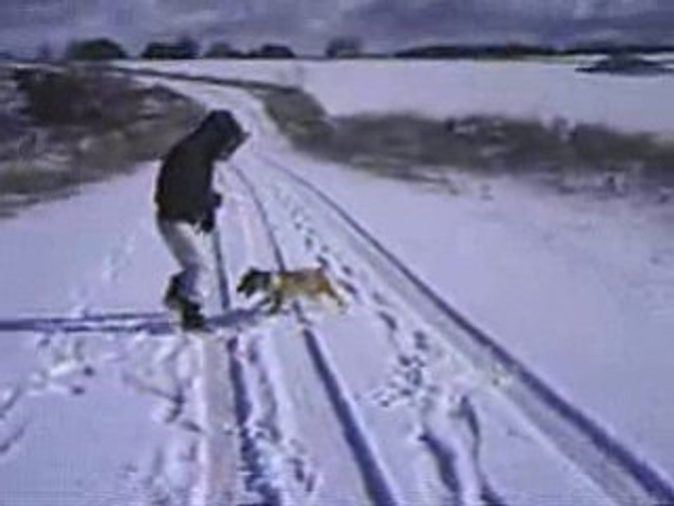 Mi perro 5