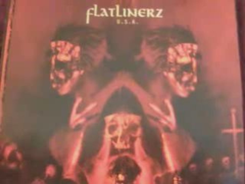 Flatlinerz - Sonic Boom