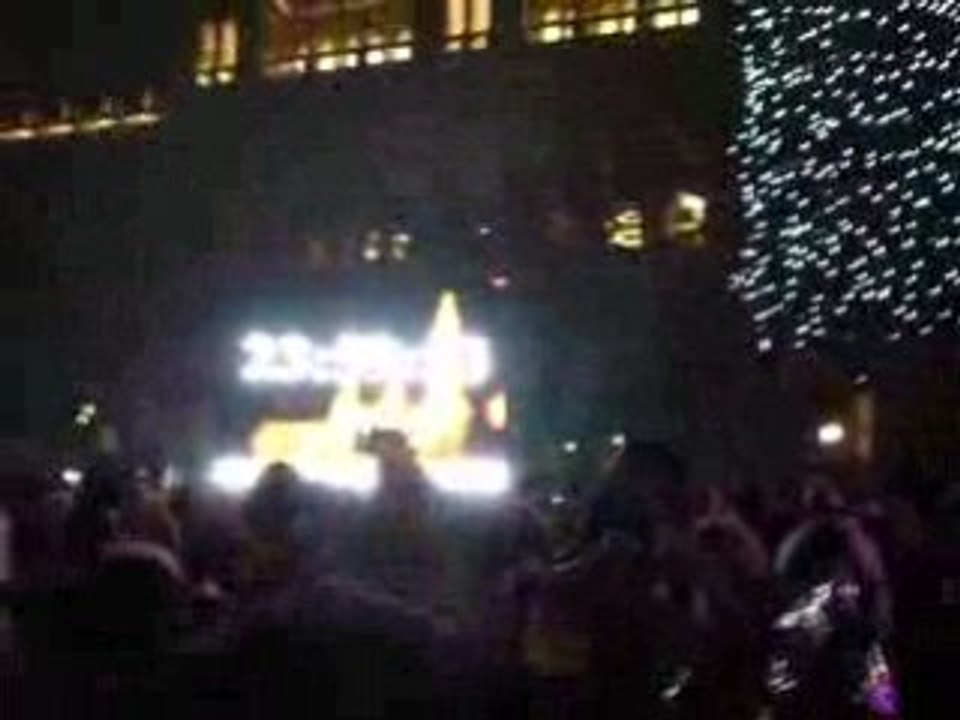 Nouvel An 2008 2009 Vienne Autriche