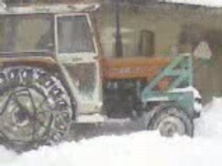 büyükkozluca köyü world camp 2009