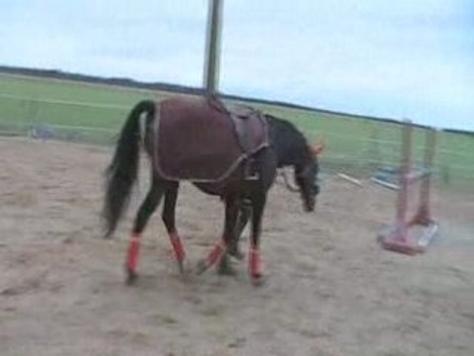 Galilee barres au sol travail a pied en side pull