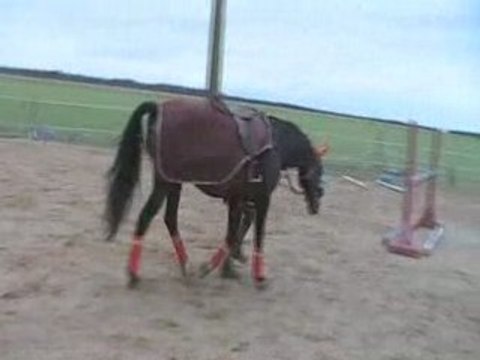 Galilee barres au sol travail a pied en side pull