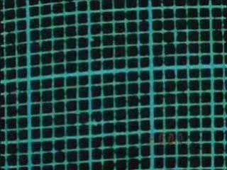 L'homme qui valait trois millards