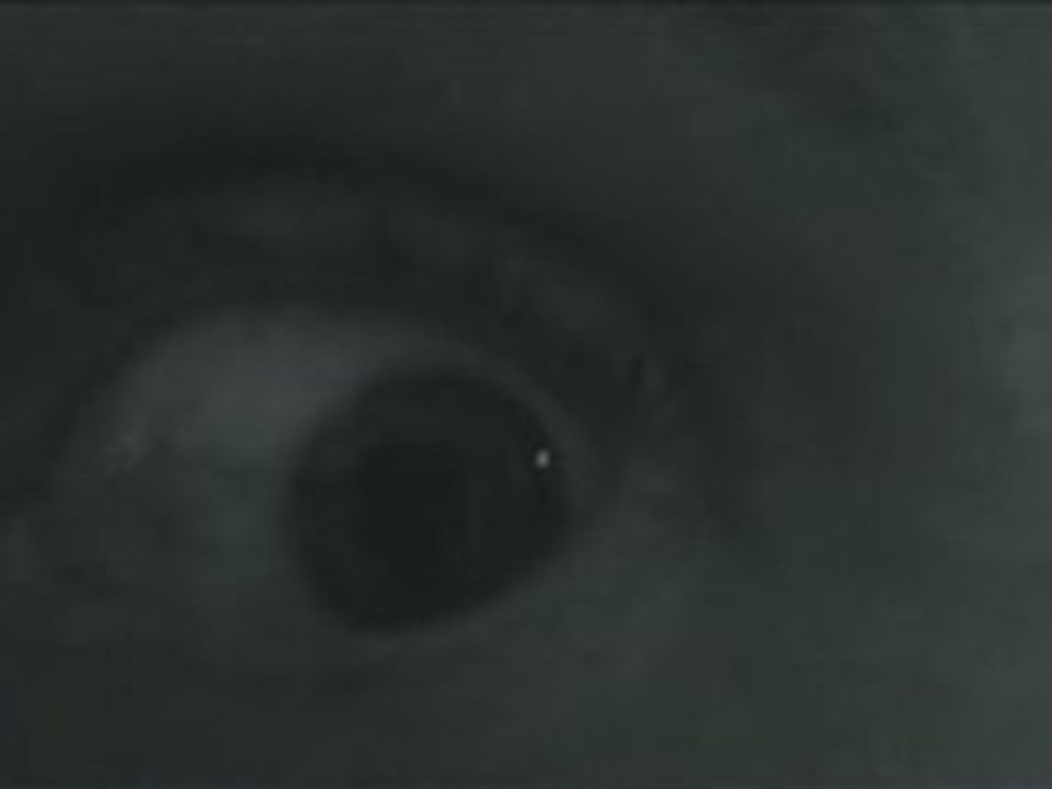 BUZZ OFF TEASER