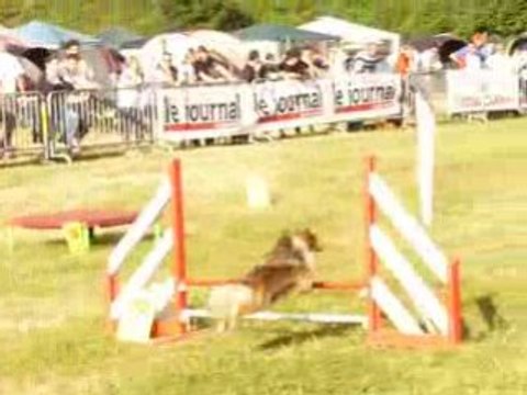 finale GPF venise agility