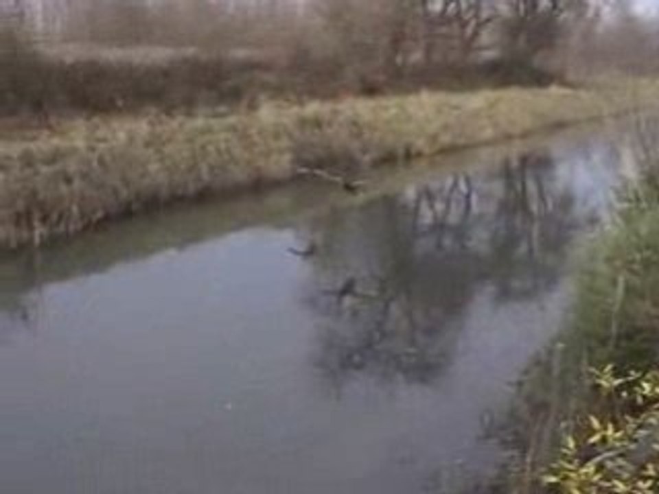 Frozenwater-Froiddecanard-