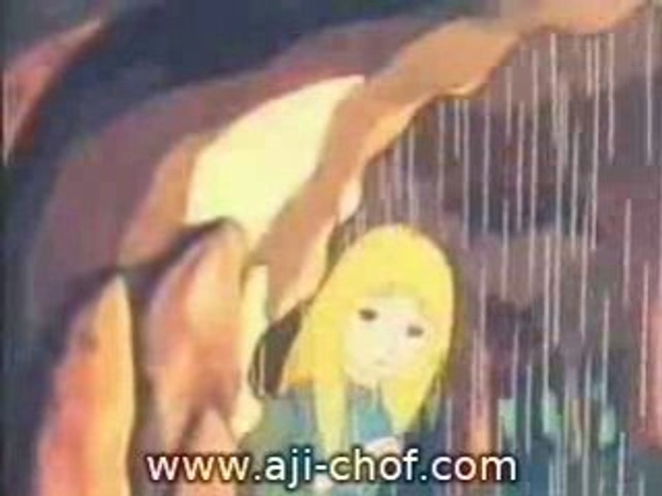 حكايات عالميه - زهور الكوزموز