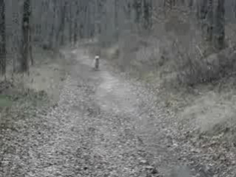 MOV07535