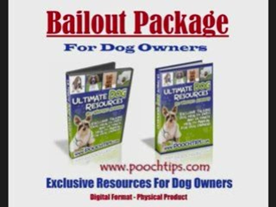 working dog training tips