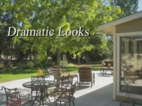 Carole Dieterich - 4705 Prospect St Bow Mar, CO 80123