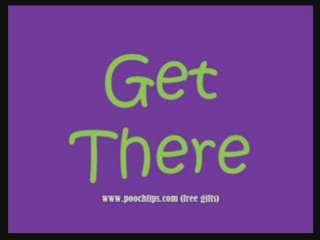 labrador dog training tips