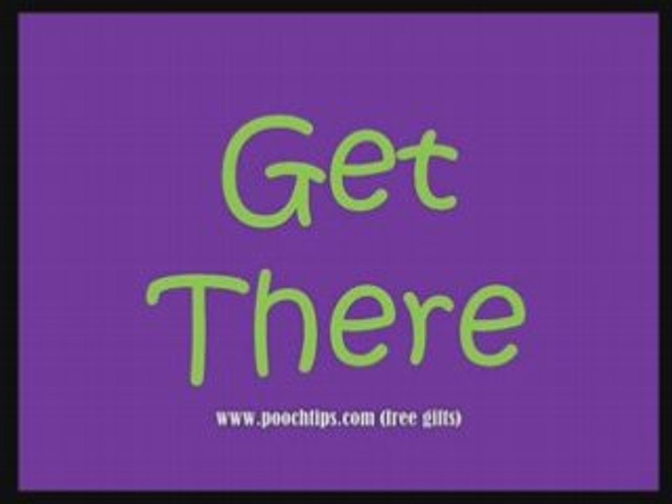 understanding dog training chewing