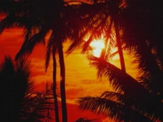 Robert Nickson - Circles