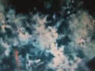 Edward Cullen (Life Before Bella)