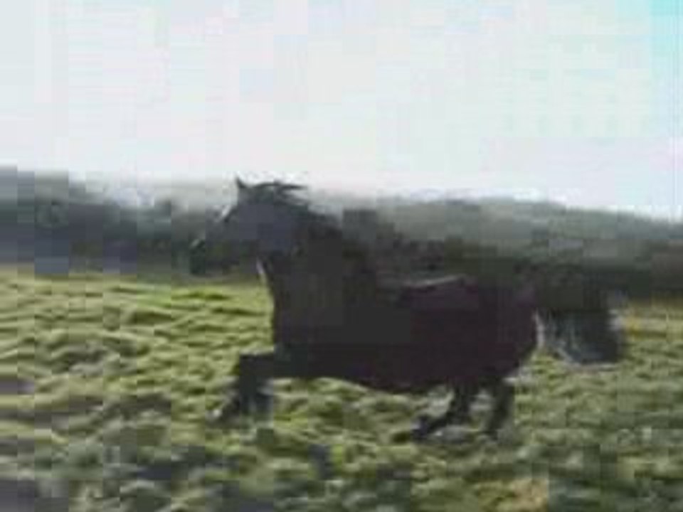 (02/01/09) : Travail a pied ecume