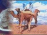 MUZIK SAHRAWI FAI PAR BIBI