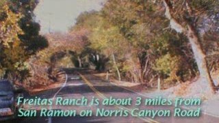 Real Estate, Danville San Ramon stunning 117 acres For Sale