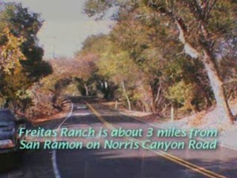 Real Estate, Danville San Ramon stunning 117 acres For Sale